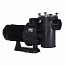 Насос Hayward HCP38301E KAP300 M.B (220В, 48м³/ч, 3лс)